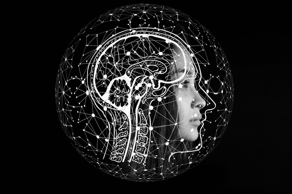 AI to boost trade by nearly 40% by 2040 if gaps are bridged, says WTO